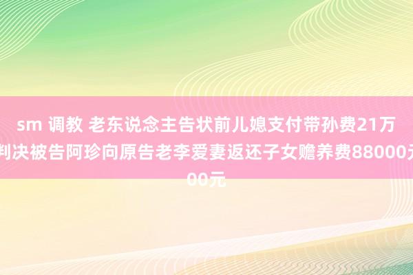 sm 调教 老东说念主告状前儿媳支付带孙费21万 判决被告阿珍向原告老李爱妻返还子女赡养费88000元