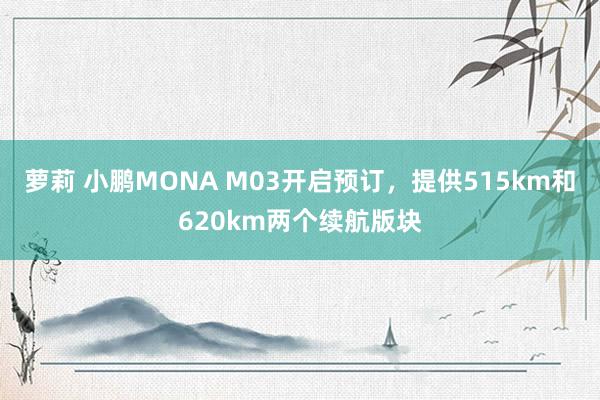 萝莉 小鹏MONA M03开启预订，提供515km和620km两个续航版块