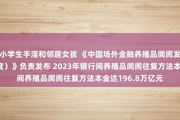 小学生手淫和邻居女孩 《中国场外金融养殖品阛阓发展敷陈（2023年度）》负责发布 2023年银行间养殖品阛阓往复方法本金达196.8万亿元