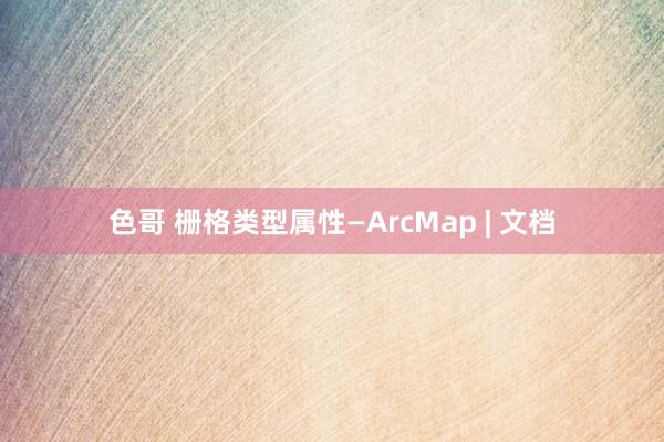 色哥 栅格类型属性—ArcMap | 文档