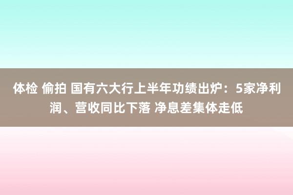 体检 偷拍 国有六大行上半年功绩出炉：5家净利润、营收同比下落 净息差集体走低