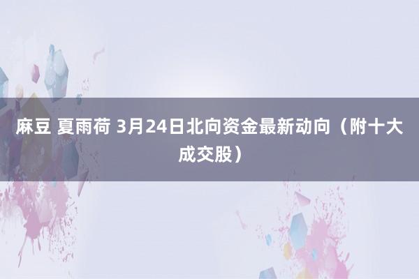 麻豆 夏雨荷 3月24日北向资金最新动向（附十大成交股）
