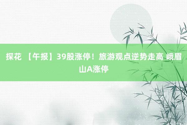 探花 【午报】39股涨停！旅游观点逆势走高 峨眉山A涨停